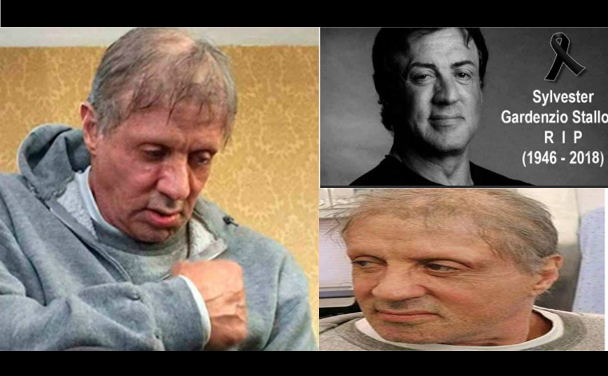 الصورة المتداولة