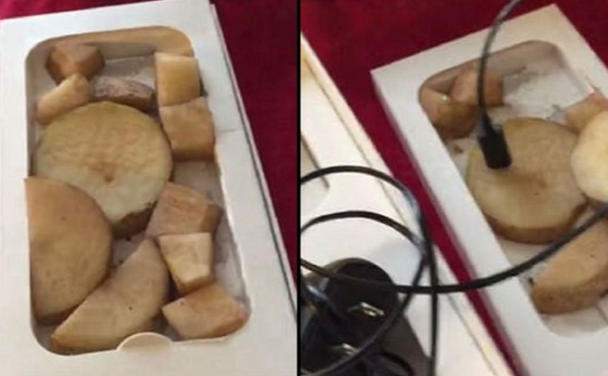 بطاطا بدل آيفون