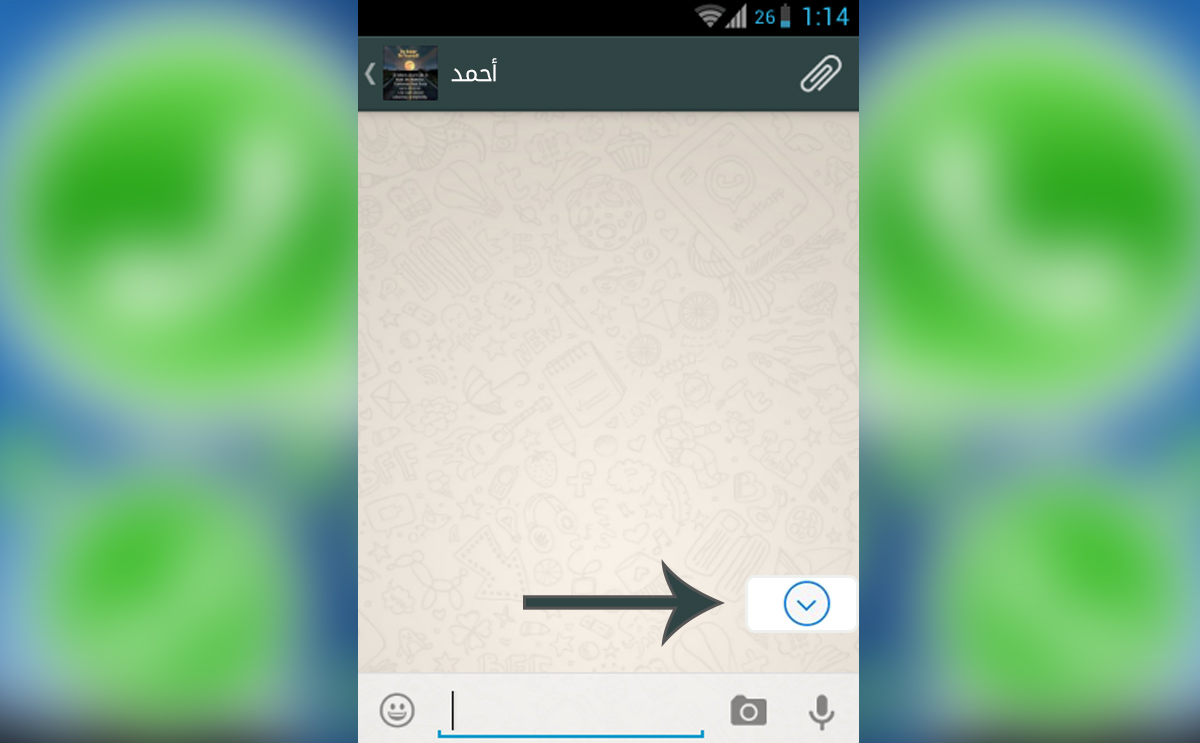 السهم الجديد (مزيون)