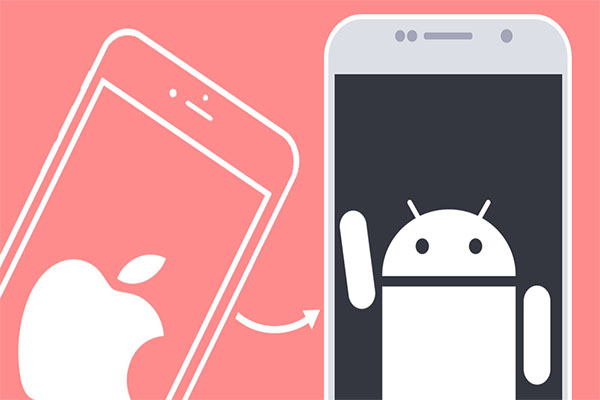 برنامج نقل الأسماء