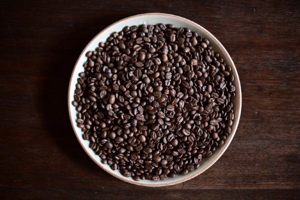 اغلى نوع من القهوة مصنوع من روث الفيلة