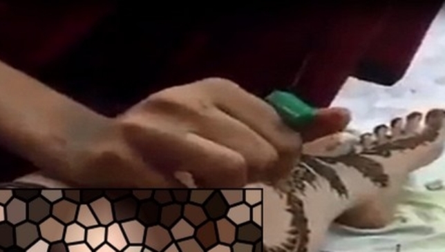 صورة من الفيديو (صدى)