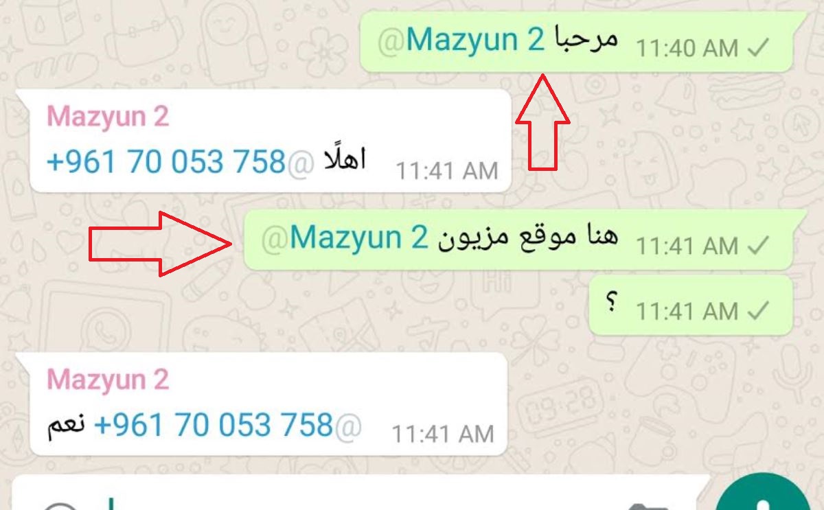 خاصية واتس اب الجديدة