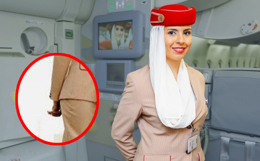 سر حركة يدين مضيفات الطيران