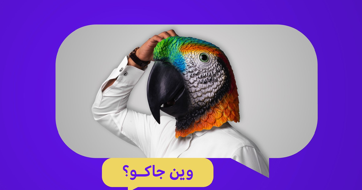 تطبيق سيحل محل تيك توك في المملكة العربية السعودية فما هي تفاصيله؟